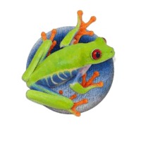 Green Planet Carpet Care Frog Logo